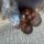 Jean Baptiste Ndayisaba